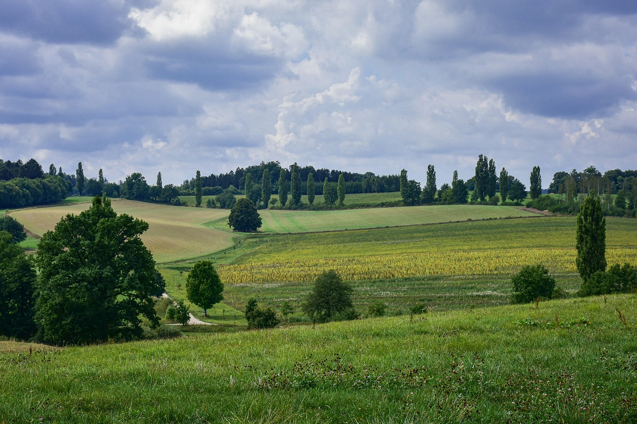 The French Countryside — Triple PPP Ranch